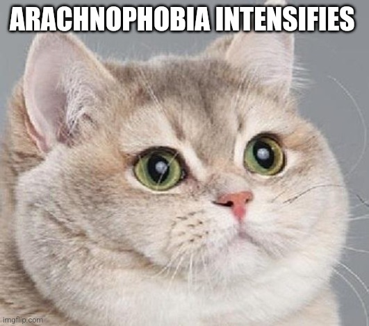 breathing intensifies | ARACHNOPHOBIA INTENSIFIES | image tagged in breathing intensifies | made w/ Imgflip meme maker