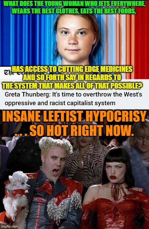 Insane leftist hypocrisy . . . that says it all . . . really. | WHAT DOES THE YOUNG WOMAN WHO JETS EVERYWHERE, WEARS THE BEST CLOTHES, EATS THE BEST FOODS, HAS ACCESS TO CUTTING EDGE MEDICINES AND SO FORTH SAY IN REGARDS TO THE SYSTEM THAT MAKES ALL OF THAT POSSIBLE? INSANE LEFTIST HYPOCRISY . . . SO HOT RIGHT NOW. | image tagged in truth | made w/ Imgflip meme maker