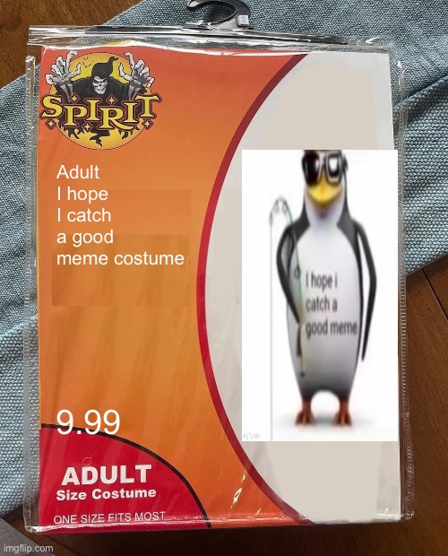 Why am I so late with this meme | Adult I hope I catch a good meme costume; 9.99 | image tagged in spirit halloween,last spooky meme,am late,good bye spooktober | made w/ Imgflip meme maker