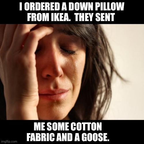 Down | I ORDERED A DOWN PILLOW FROM IKEA.  THEY SENT; ME SOME COTTON FABRIC AND A GOOSE. | image tagged in memes,first world problems | made w/ Imgflip meme maker