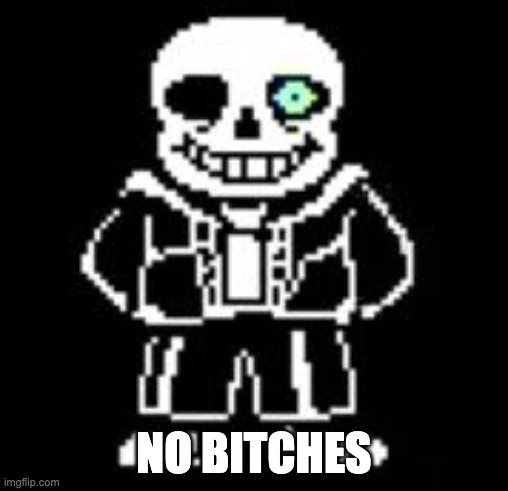 No Bitches... | NO BITCHES | image tagged in sans bad time | made w/ Imgflip meme maker