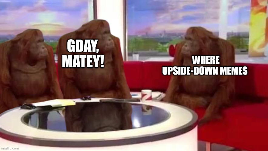 where monkey | GDAY, MATEY! WHERE UPSIDE-DOWN MEMES | image tagged in where monkey | made w/ Imgflip meme maker