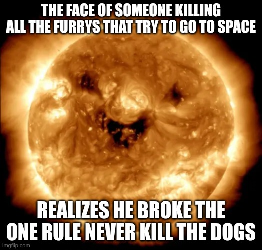 Smiling Sun | THE FACE OF SOMEONE KILLING ALL THE FURRYS THAT TRY TO GO TO SPACE; REALIZES HE BROKE THE ONE RULE NEVER KILL THE DOGS | image tagged in smiling sun,so true memes | made w/ Imgflip meme maker