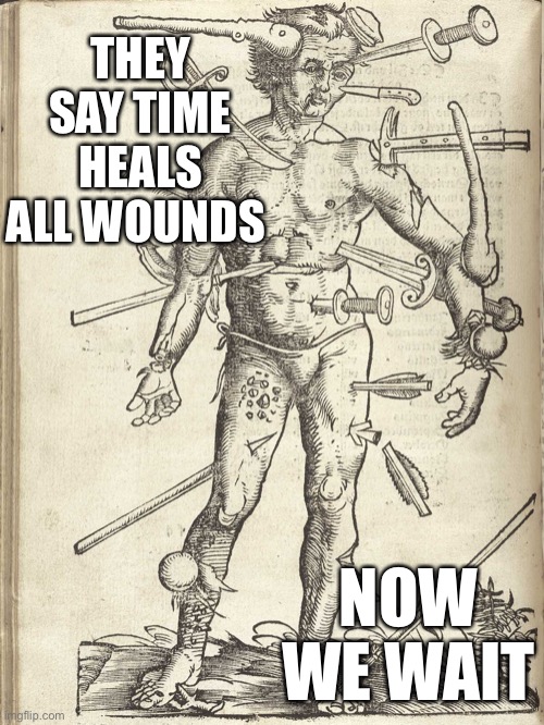 HEMA Hurts wounded man | THEY SAY TIME HEALS ALL WOUNDS; NOW WE WAIT | image tagged in hema hurts wounded man | made w/ Imgflip meme maker