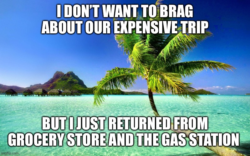 Going broke | I DON’T WANT TO BRAG ABOUT OUR EXPENSIVE TRIP; BUT I JUST RETURNED FROM GROCERY STORE AND THE GAS STATION | image tagged in palm tree | made w/ Imgflip meme maker