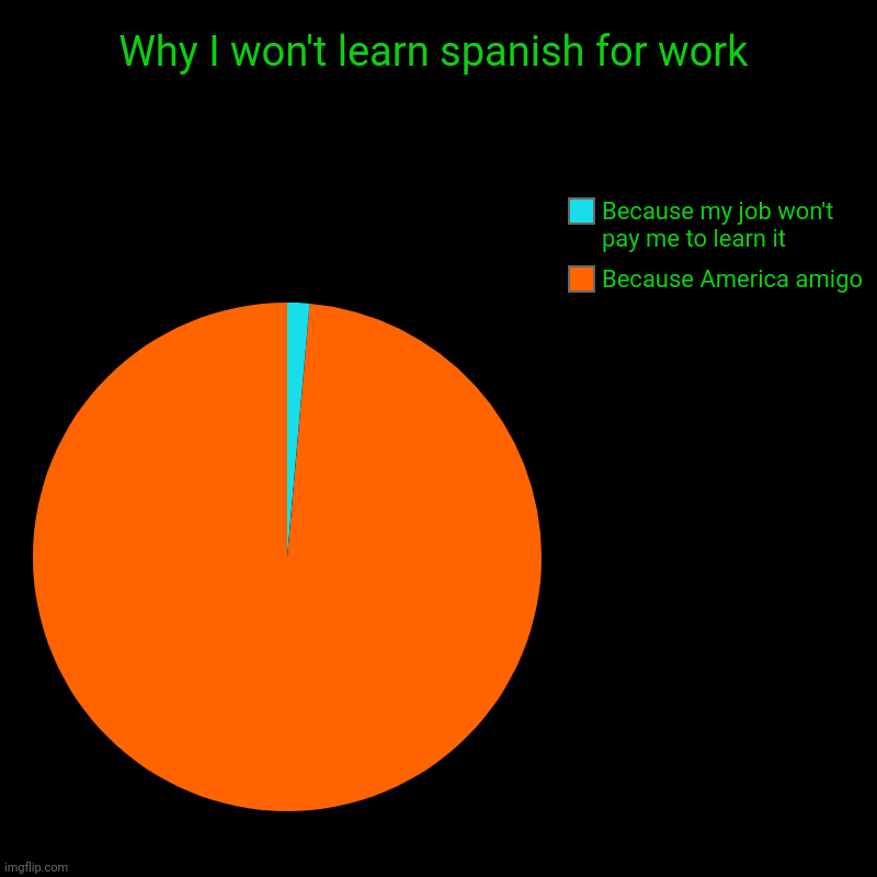 America | Why I won't learn spanish for work | Because America amigo, Because my job won't pay me to learn it | image tagged in charts,pie charts,work sucks | made w/ Imgflip chart maker
