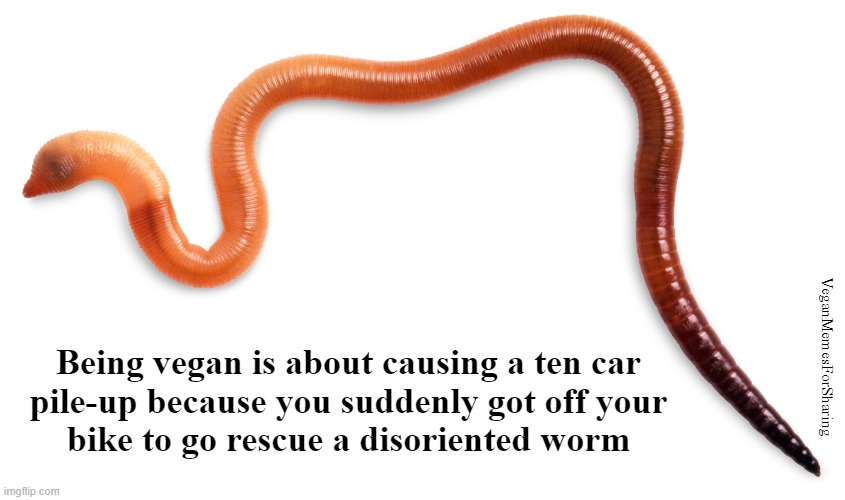 Worms | VeganMemesForSharing; Being vegan is about causing a ten car
pile-up because you suddenly got off your
bike to go rescue a disoriented worm | image tagged in vegan,veganism,small is beautiful,all creatures big and small | made w/ Imgflip meme maker