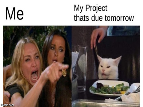 School Projects Be like | image tagged in school memes | made w/ Imgflip meme maker