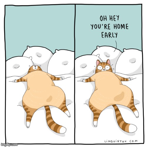 A Cat's Way Of Thinking | image tagged in memes,comics,cats,sleeping,hey you,too early | made w/ Imgflip meme maker