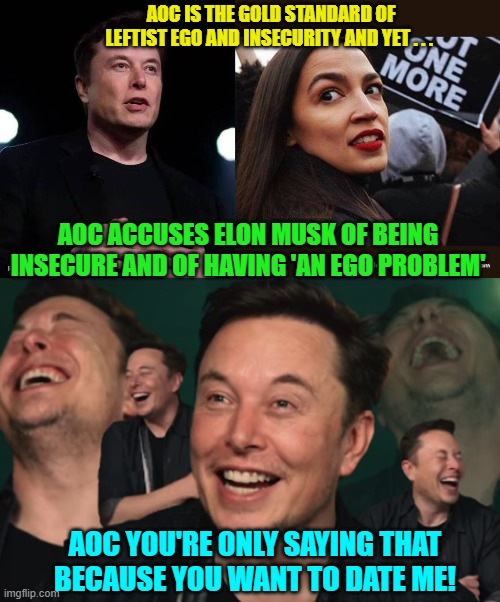 How could she have so little self-awareness? | AOC IS THE GOLD STANDARD OF LEFTIST EGO AND INSECURITY AND YET . . . AOC ACCUSES ELON MUSK OF BEING INSECURE AND OF HAVING 'AN EGO PROBLEM'; AOC YOU'RE ONLY SAYING THAT BECAUSE YOU WANT TO DATE ME! | image tagged in sheesh | made w/ Imgflip meme maker