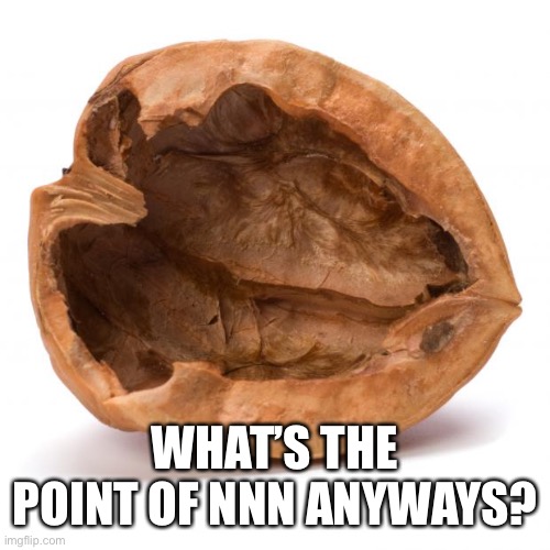 Nutshell | WHAT’S THE POINT OF NNN ANYWAYS? | image tagged in nutshell | made w/ Imgflip meme maker