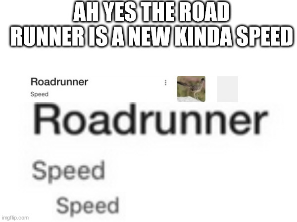 AH YES THE ROAD RUNNER IS A NEW KINDA SPEED | made w/ Imgflip meme maker