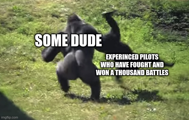 gorilla throwing another gorilla | SOME DUDE; EXPERINCED PILOTS WHO HAVE FOUGHT AND WON A THOUSAND BATTLES | image tagged in gorilla throwing another gorilla | made w/ Imgflip meme maker