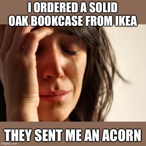 IKEA | I ORDERED A SOLID OAK BOOKCASE FROM IKEA; THEY SENT ME AN ACORN | image tagged in first world problems,ikea,oak bookcase,acorn | made w/ Imgflip meme maker