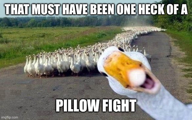 GOOSE | THAT MUST HAVE BEEN ONE HECK OF A PILLOW FIGHT | image tagged in goose | made w/ Imgflip meme maker