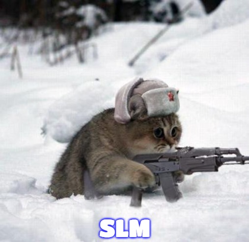 Cute Sad Soviet War Kitten | SLM | image tagged in cute sad soviet war kitten,slavic,slm,blm | made w/ Imgflip meme maker