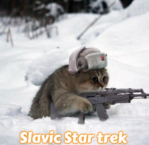 Cute Sad Soviet War Kitten | Slavic Star trek | image tagged in cute sad soviet war kitten,slavic star trek,slavic,slm | made w/ Imgflip meme maker