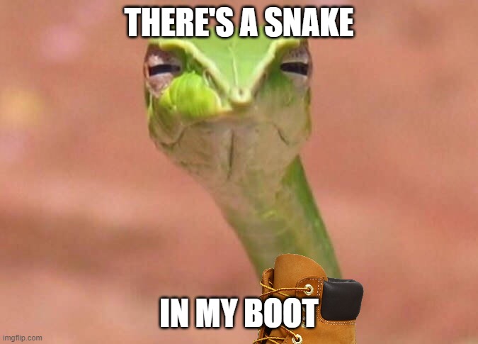 Skeptical snake | THERE'S A SNAKE IN MY BOOT | image tagged in skeptical snake | made w/ Imgflip meme maker