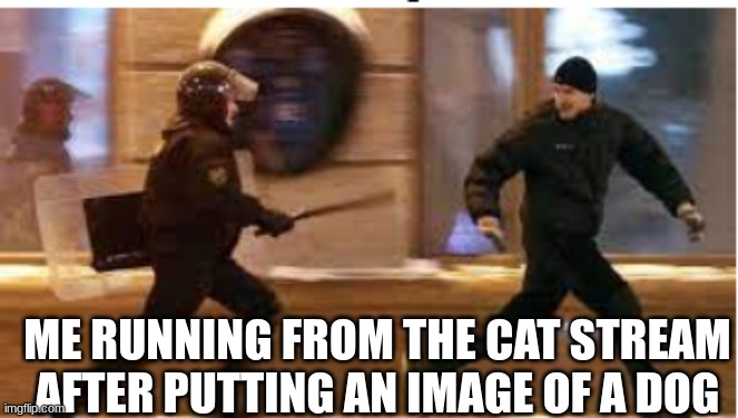 woof | ME RUNNING FROM THE CAT STREAM AFTER PUTTING AN IMAGE OF A DOG | image tagged in me running away from the fbi after,cats,running,dog,dogs,hmm yes the floor here is made out of floor | made w/ Imgflip meme maker