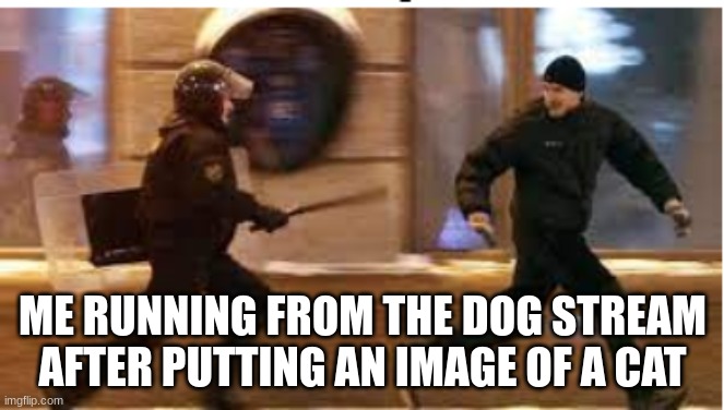 meow | ME RUNNING FROM THE DOG STREAM AFTER PUTTING AN IMAGE OF A CAT | image tagged in me running away from the fbi after,cats,cat,dogs,hmm yes the floor here is made out of floor,running | made w/ Imgflip meme maker