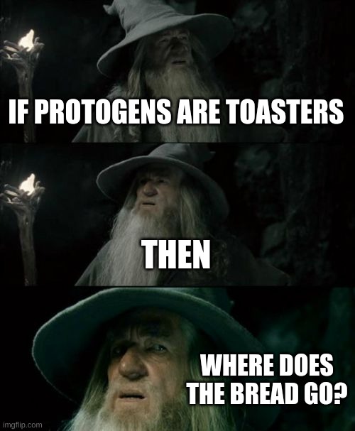 where does the bread even go | IF PROTOGENS ARE TOASTERS; THEN; WHERE DOES THE BREAD GO? | image tagged in memes,confused gandalf | made w/ Imgflip meme maker