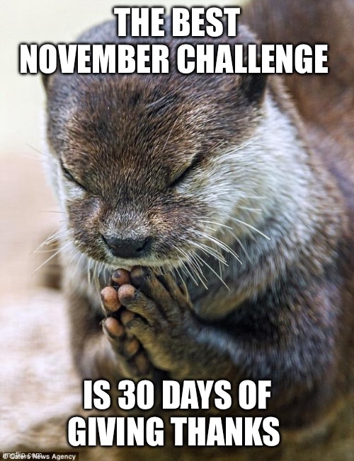 All thanksgiving November | THE BEST NOVEMBER CHALLENGE; IS 30 DAYS OF GIVING THANKS | image tagged in thank you lord otter | made w/ Imgflip meme maker