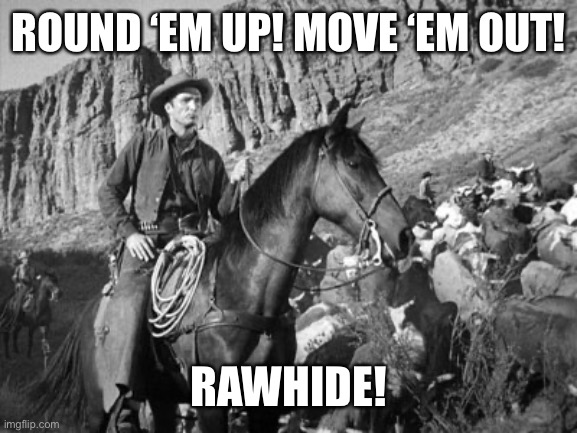 Rawhide | ROUND ‘EM UP! MOVE ‘EM OUT! RAWHIDE! | image tagged in rawhide | made w/ Imgflip meme maker