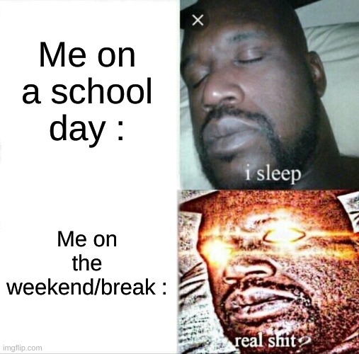 Sleeping Shaq Meme | Me on a school day :; Me on the weekend/break : | image tagged in memes,sleeping shaq,relatable,school,weekend | made w/ Imgflip meme maker