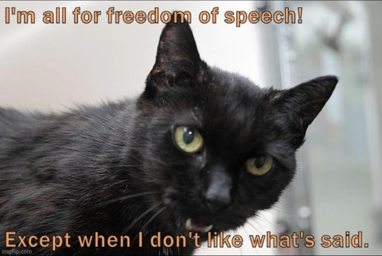 This #lolcat wonders if you also want freedom of speech for those whose opinions you don't like. | image tagged in freedom of speech,lolcat,hypocrisy | made w/ Imgflip meme maker