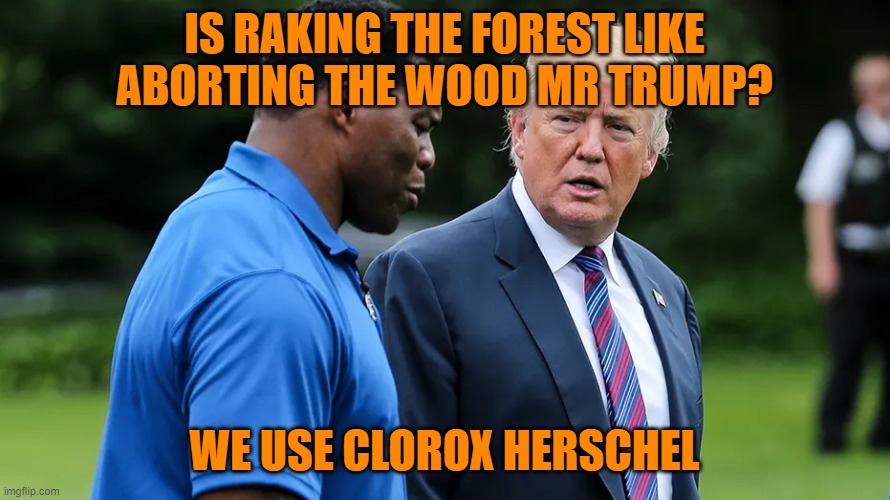Herschel Walker Trump | IS RAKING THE FOREST LIKE ABORTING THE WOOD MR TRUMP? WE USE CLOROX HERSCHEL | image tagged in herschel walker trump | made w/ Imgflip meme maker