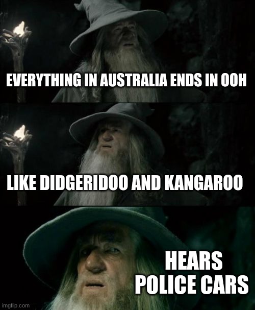 OOOOOOOOOO | EVERYTHING IN AUSTRALIA ENDS IN OOH; LIKE DIDGERIDOO AND KANGAROO; HEARS POLICE CARS | image tagged in memes,confused gandalf | made w/ Imgflip meme maker