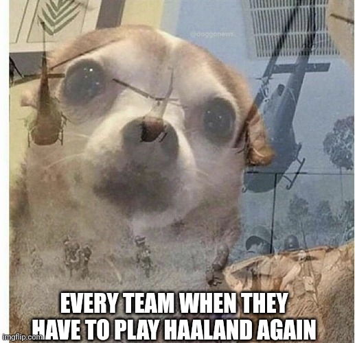 PTSD Chihuahua | EVERY TEAM WHEN THEY HAVE TO PLAY HAALAND AGAIN | image tagged in ptsd chihuahua | made w/ Imgflip meme maker