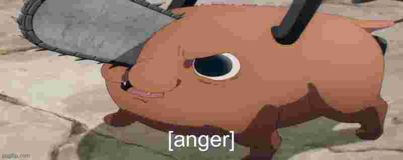 Anger pochita | image tagged in anger pochita | made w/ Imgflip meme maker