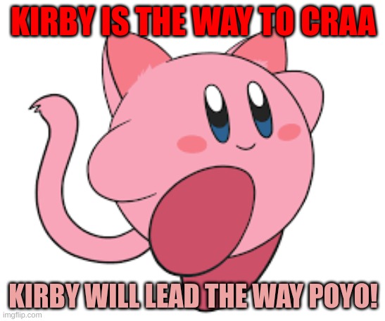 Kirby cat | KIRBY IS THE WAY TO CRAA; KIRBY WILL LEAD THE WAY POYO! | image tagged in funny,kirby | made w/ Imgflip meme maker