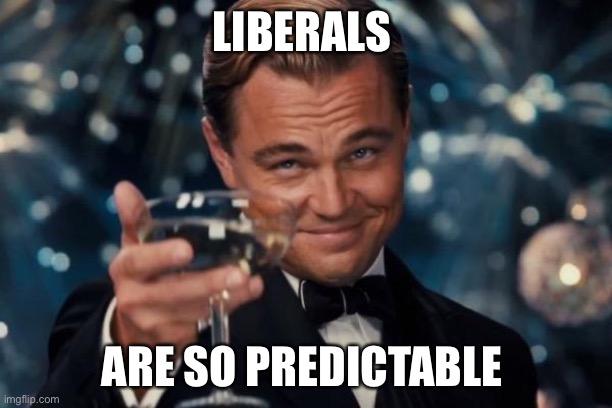 Leonardo Dicaprio Cheers Meme | LIBERALS ARE SO PREDICTABLE | image tagged in memes,leonardo dicaprio cheers | made w/ Imgflip meme maker