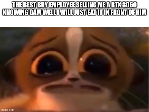 THE BEST BUY EMPLOYEE SELLING ME A RTX 3060 KNOWING DAM WELL I WILL JUST EAT IT IN FRONT OF HIM | image tagged in funny | made w/ Imgflip meme maker