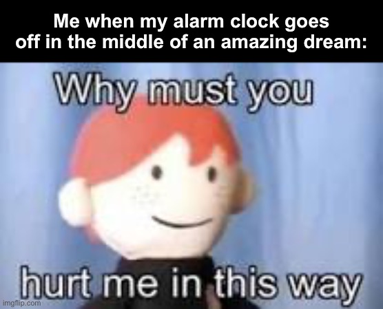 *internal screaming* | Me when my alarm clock goes off in the middle of an amazing dream: | image tagged in why must you hurt me in this way | made w/ Imgflip meme maker