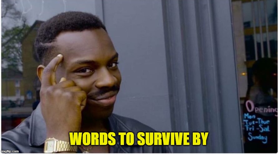 Roll safe | WORDS TO SURVIVE BY | image tagged in roll safe | made w/ Imgflip meme maker