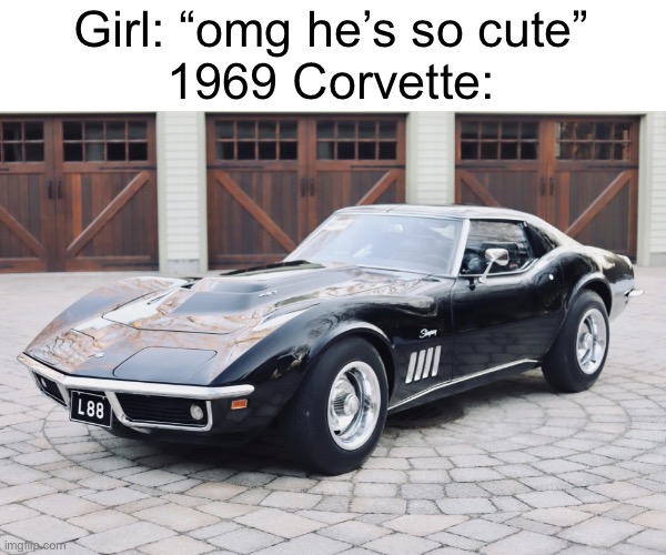 Cringe memes replaced with cars day 4 | Girl: “omg he’s so cute”
1969 Corvette: | image tagged in cars,funny,memes | made w/ Imgflip meme maker