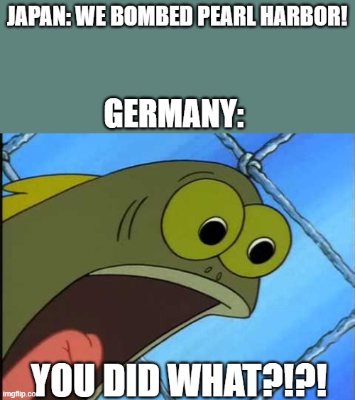 You what?! | JAPAN: WE BOMBED PEARL HARBOR! GERMANY:; YOU DID WHAT?!?! | image tagged in you what | made w/ Imgflip meme maker