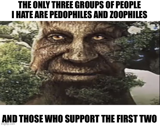 I don’t hate any other group | THE ONLY THREE GROUPS OF PEOPLE I HATE ARE PEDOPHILES AND ZOOPHILES; AND THOSE WHO SUPPORT THE FIRST TWO | image tagged in wise mystical tree | made w/ Imgflip meme maker