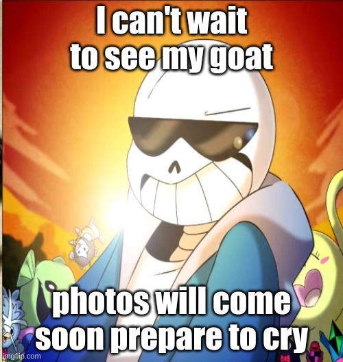 asriel> | I can't wait to see my goat; photos will come soon prepare to cry | image tagged in sans | made w/ Imgflip meme maker