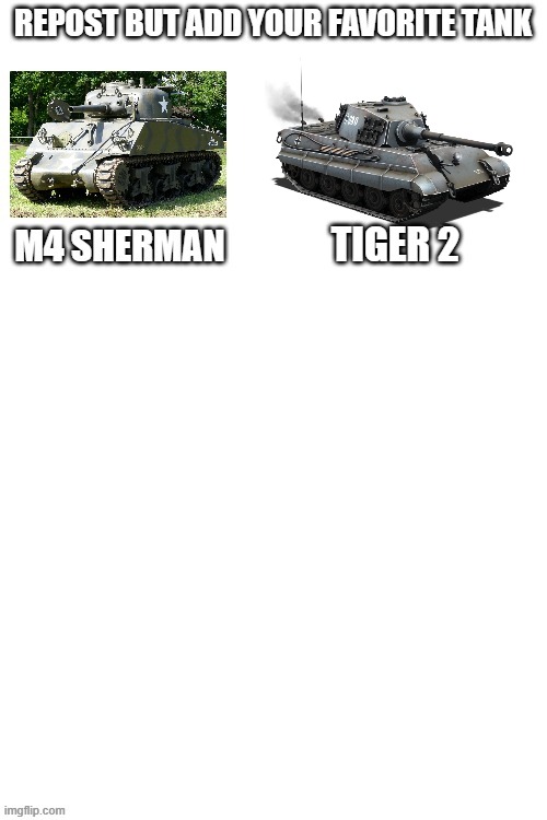 TIGER 2 | made w/ Imgflip meme maker