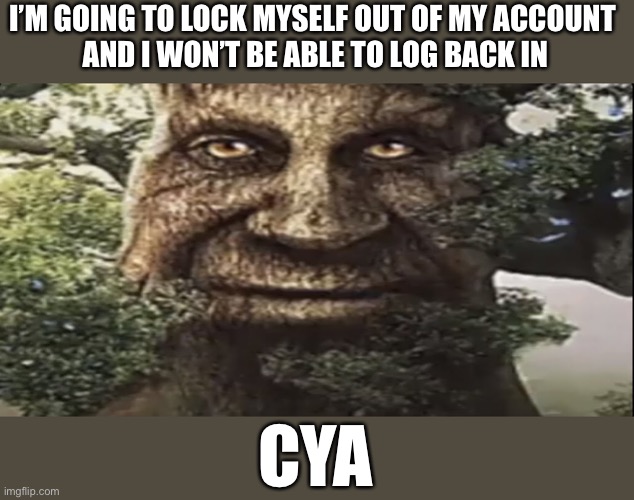 I’m bored anyways | I’M GOING TO LOCK MYSELF OUT OF MY ACCOUNT 
AND I WON’T BE ABLE TO LOG BACK IN; CYA | image tagged in wise mystical tree | made w/ Imgflip meme maker