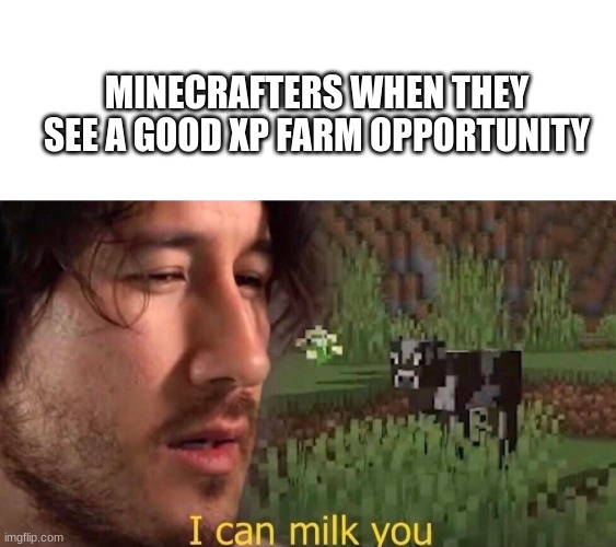 *xp grinding intensifies* |  MINECRAFTERS WHEN THEY SEE A GOOD XP FARM OPPORTUNITY | image tagged in blank white template,i can milk you template | made w/ Imgflip meme maker