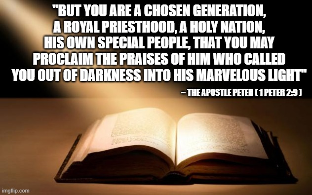 Bible | "BUT YOU ARE A CHOSEN GENERATION, A ROYAL PRIESTHOOD, A HOLY NATION, HIS OWN SPECIAL PEOPLE, THAT YOU MAY PROCLAIM THE PRAISES OF HIM WHO CALLED YOU OUT OF DARKNESS INTO HIS MARVELOUS LIGHT"; ~ THE APOSTLE PETER ( 1 PETER 2:9 ) | image tagged in bible | made w/ Imgflip meme maker