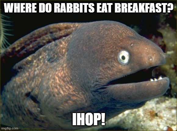 Bad Joke Eel | WHERE DO RABBITS EAT BREAKFAST? IHOP! | image tagged in memes,bad joke eel,funny,puns | made w/ Imgflip meme maker