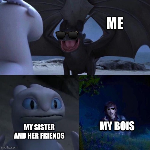 Toothless presents himself | ME; MY BOIS; MY SISTER AND HER FRIENDS | image tagged in toothless presents himself | made w/ Imgflip meme maker