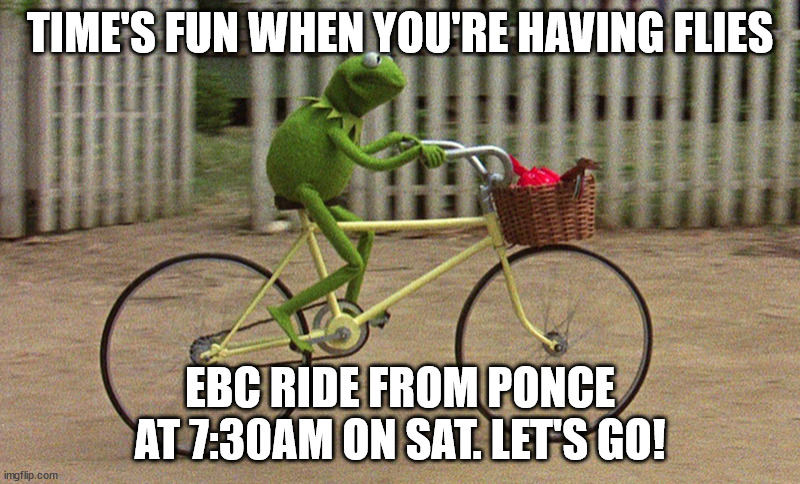 kermit bike | TIME'S FUN WHEN YOU'RE HAVING FLIES; EBC RIDE FROM PONCE AT 7:30AM ON SAT. LET'S GO! | image tagged in kermit bike | made w/ Imgflip meme maker