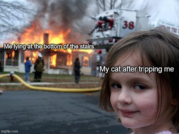 long live the king | Me lying at the bottom of the stairs; My cat after tripping me | image tagged in memes,disaster girl | made w/ Imgflip meme maker
